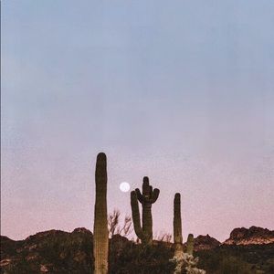 Meet your Posher, Meow